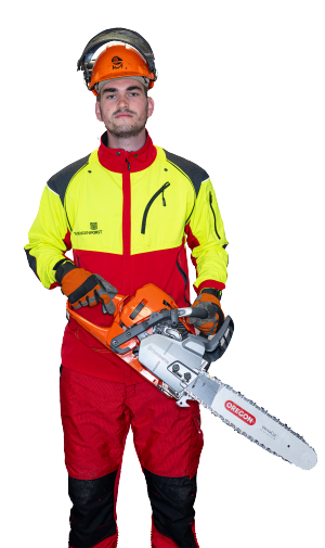 Bildbeschreibungstext
